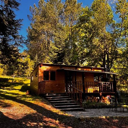 Villa Le Terrier Blanc Argenton Sur Creuse Exterior foto