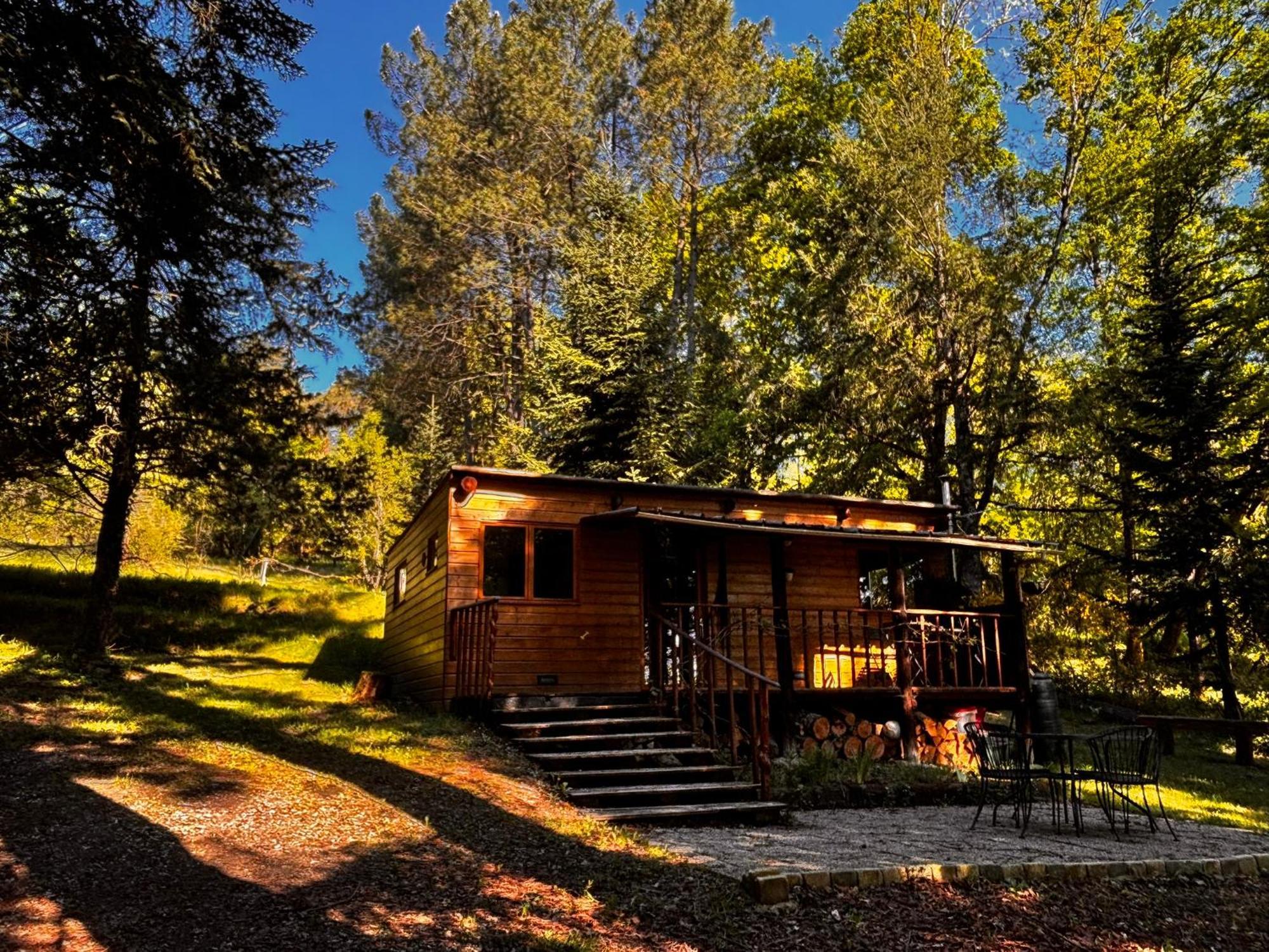 Villa Le Terrier Blanc Argenton Sur Creuse Exterior foto